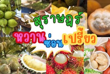 ททท.สุราษฎร์ฯ ชูเส้นทางผลไม้ 5 ชนิด สะท้อนอัตลักษณ์ท้องถิ่น “หวาน  ซ่อน เปรี้ยว” เที่ยวได้ตลอดปี